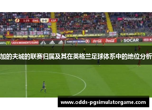 加的夫城的联赛归属及其在英格兰足球体系中的地位分析