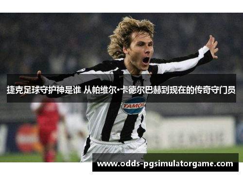 捷克足球守护神是谁 从帕维尔·卡德尔巴赫到现在的传奇守门员