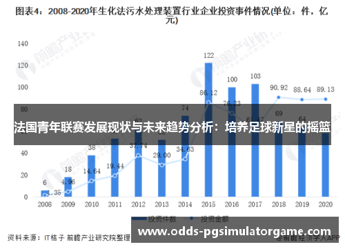 法国青年联赛发展现状与未来趋势分析：培养足球新星的摇篮